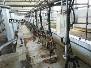 大型养殖场整厂转让及资产处置信息