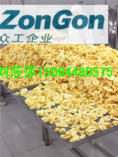 诸城众工机械 专业供应菠萝蜜膨化设备与技术转让，助力产业升级